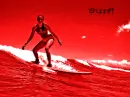 surf