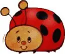 Lady Bug