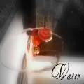 The miracle of water