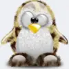 tiger penguin
