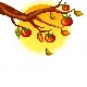 Fall