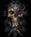 Preceptor by Anne Stokes