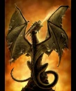 Fire Breather by Anne Stokes
