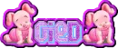 Gied
