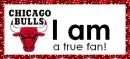 true chicago bulls fan
