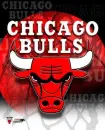 chicago bulls