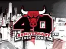 chicago bulls