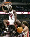 chicago bulls