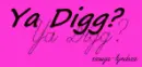 ya digg?