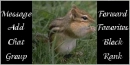 Chipmunk