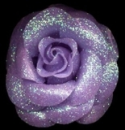 Purple Rose
