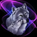wolves