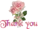 Pink Rose - Thank you