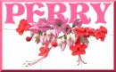 Perry 