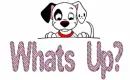 What's Up