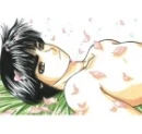 rock lee