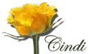 Yellow Rose