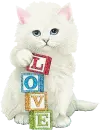 kitty love