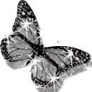 BuTTeRfLyiE