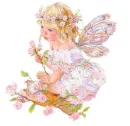 baby butterfly