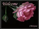 welcome rose