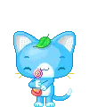 blue kitty