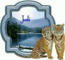 Judi
