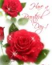 have a beautiful day