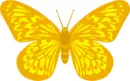 Yellow butterfly