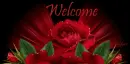 welcome rose