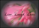 pink flowers