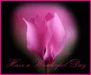 pink flower