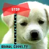 Stop Animal Cruelty