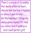 Miracle Of Friendship 