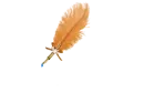 Angela - Feather Pen Orange