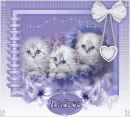 Cute Kittens Tag - Andrea