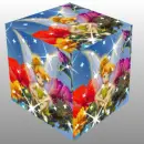Tinkerbell Cube