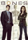 bones