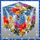 Tinkerbell (with sparkles) Cube