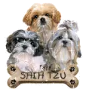 Sparkling Puppies With Bone
