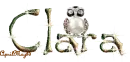 owl clara