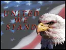 eagle with flag