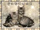 two kittens