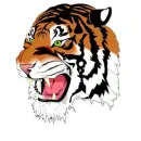 tiger face
