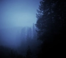 Night Fog