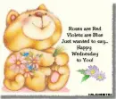 happy wednesday!