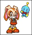 Sonic Advance 2- Cream