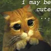 Cute Kitty
