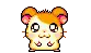 Happy Hamster