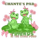 frogs